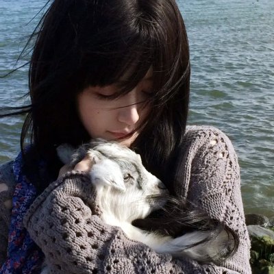 流星的启示 在线观看