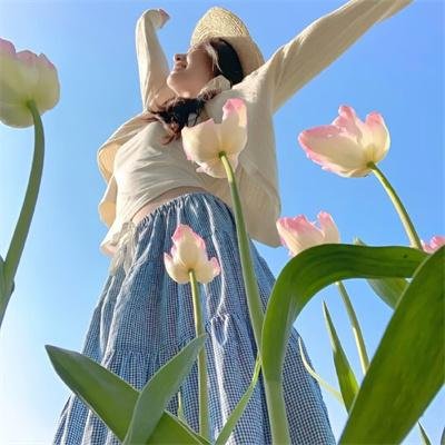 圣克莱尔 在线观看